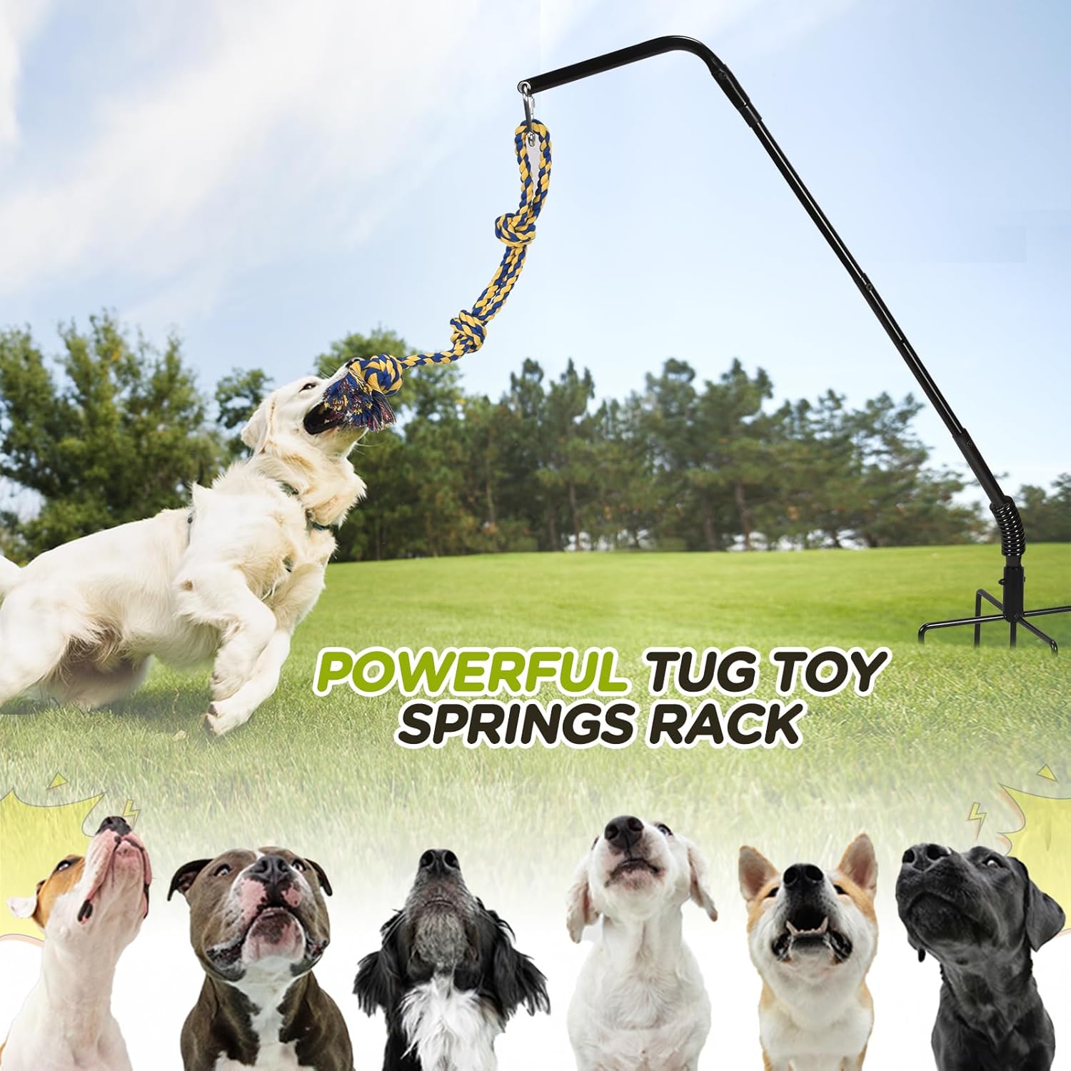 Tether Tug Outdoor Dog Toy with Strengthen Spring Pole, 3 Kinds Dog Tug of War Toys for Self Play and Interactive in Park, Yard, Lawn Rope, Suitable for Large Medium Small Dogs (Black)